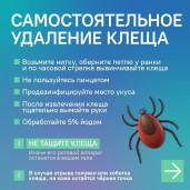 аккарицидная обработка 2