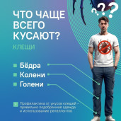 аккарицидная обработка 7